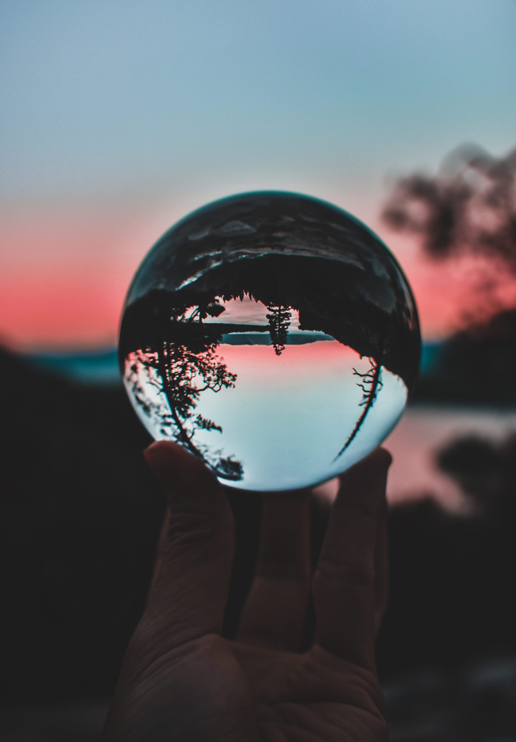 Photo by Mathilda Khoo on Unsplash