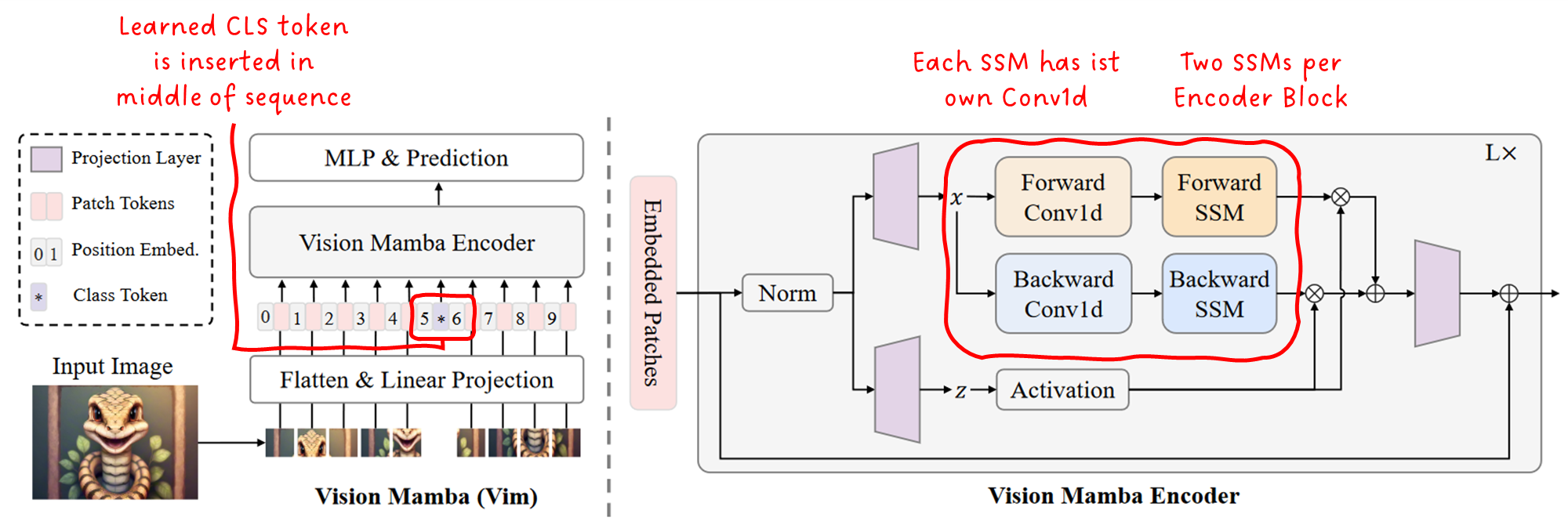 Figure 9: Top-Level architecture of Vision Mamba Vim. Image by L. Zhu et.al., annotated by Sascha Kirch.