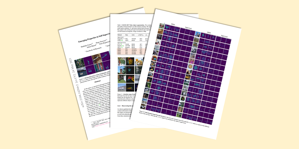 Image created from publication by Sascha Kirch