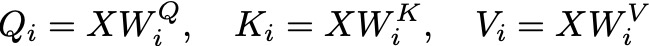 Queries, Keys, and Values Linear Transformations - Image by Author